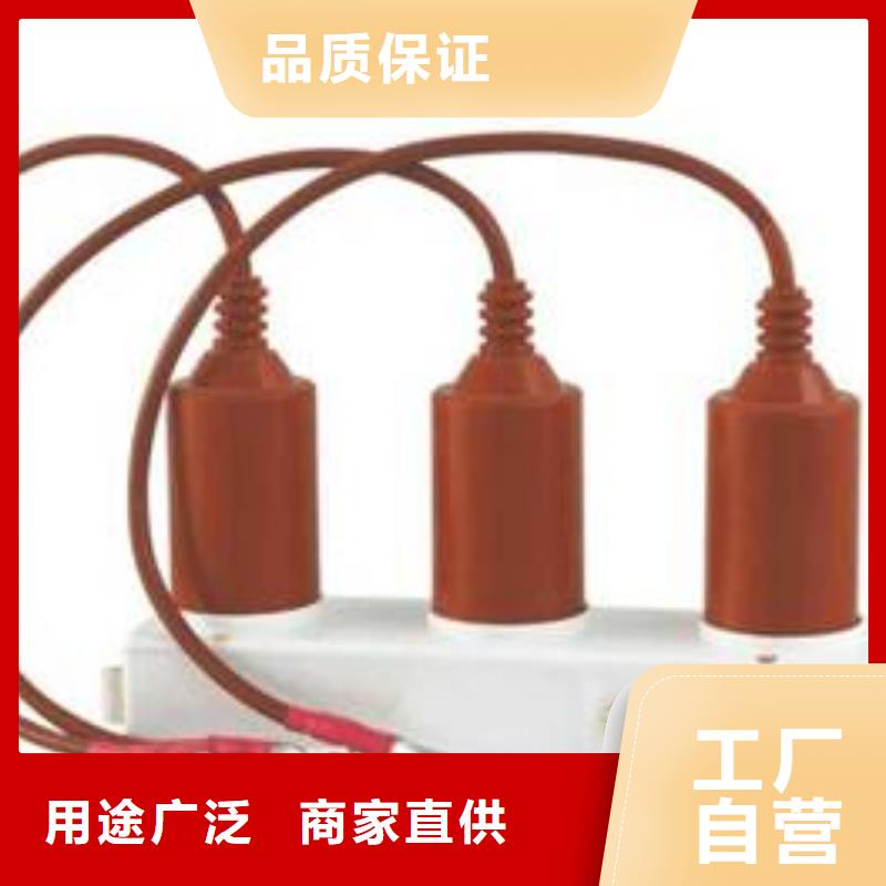优良工艺过电压保护器高压隔离开关厂家拥有先进的设备-羿振电气有限公司