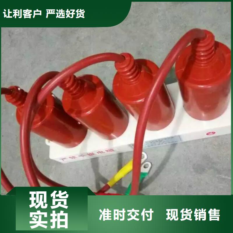 【真空断路器】羿振过电压保护器真空断路器匠心制造