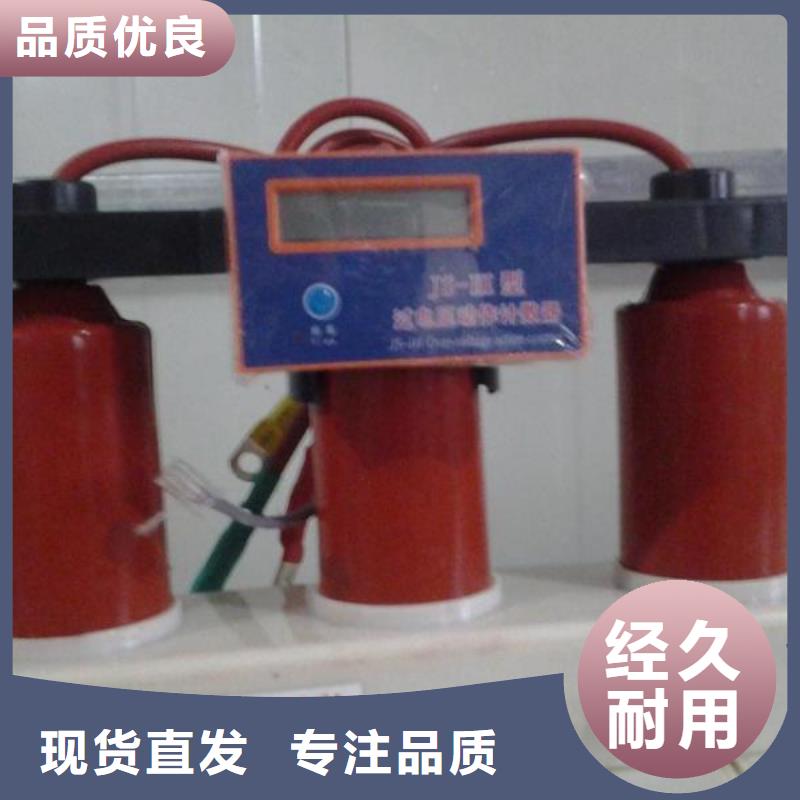 有生产源头把关放心选购过电压保护器真空断路器质量可靠的厂家吗