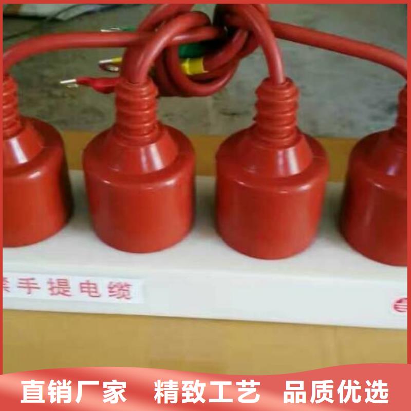 过电压保护器隔离开关厂家快捷的物流配送-服务区域包括姜堰|兴化|海陵|高港|泰兴等-产品视频