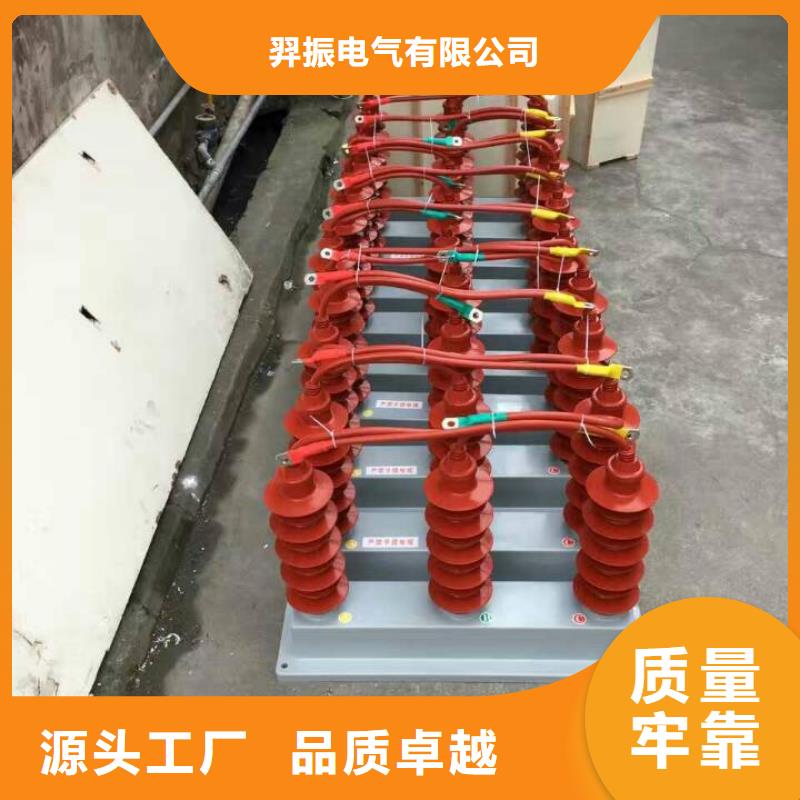 过电压保护器跌落式熔断器厂家现货实拍羿振【真空断路器】