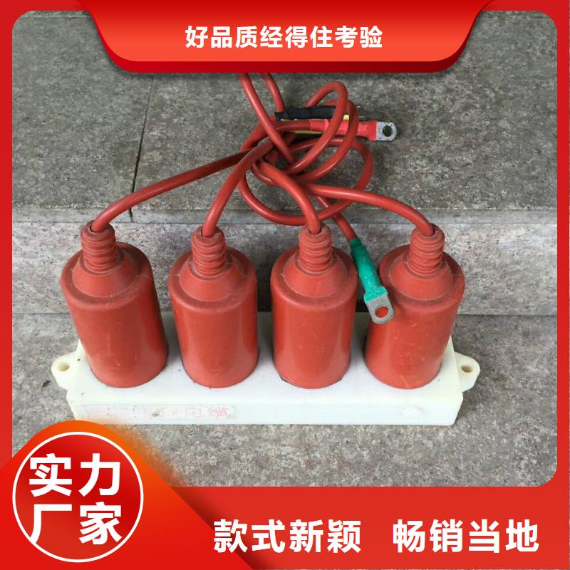 【真空断路器】羿振过电压保护器真空断路器匠心制造