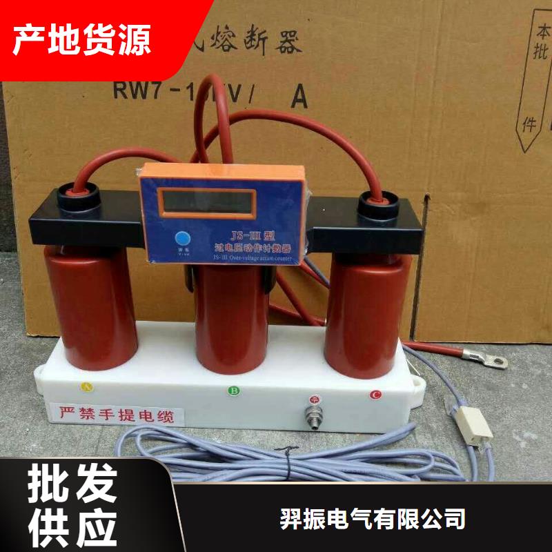 优良工艺过电压保护器高压隔离开关厂家拥有先进的设备-羿振电气有限公司