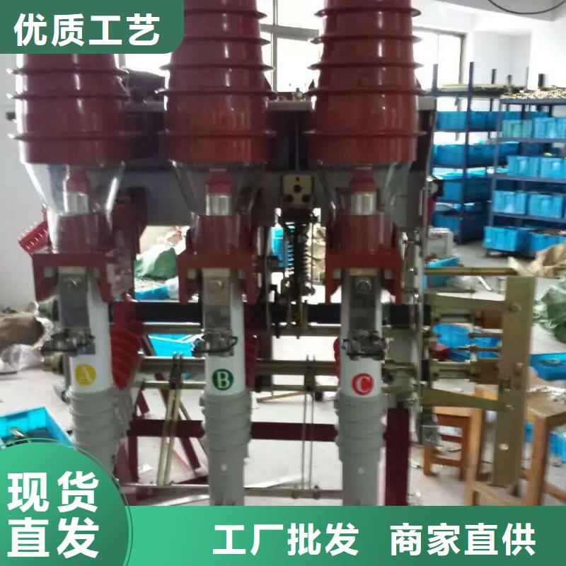 羿振负荷开关金属氧化物避雷器您身边的厂家-二八商务