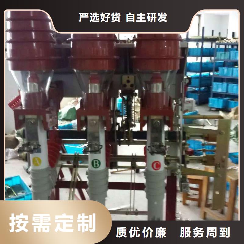 海丰|陆河|潮州|惠州|韶关|阳江负荷开关跌落式熔断器厂家实力工厂-羿振