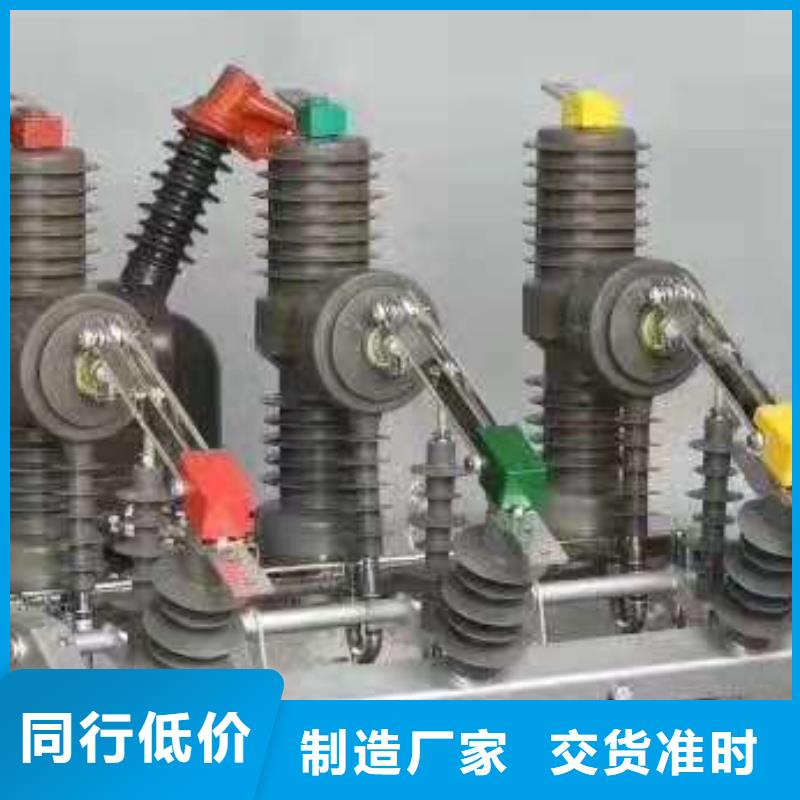 羿振【真空断路器】适用范围广ZW32真空断路器高压隔离开关产品性能二八商务