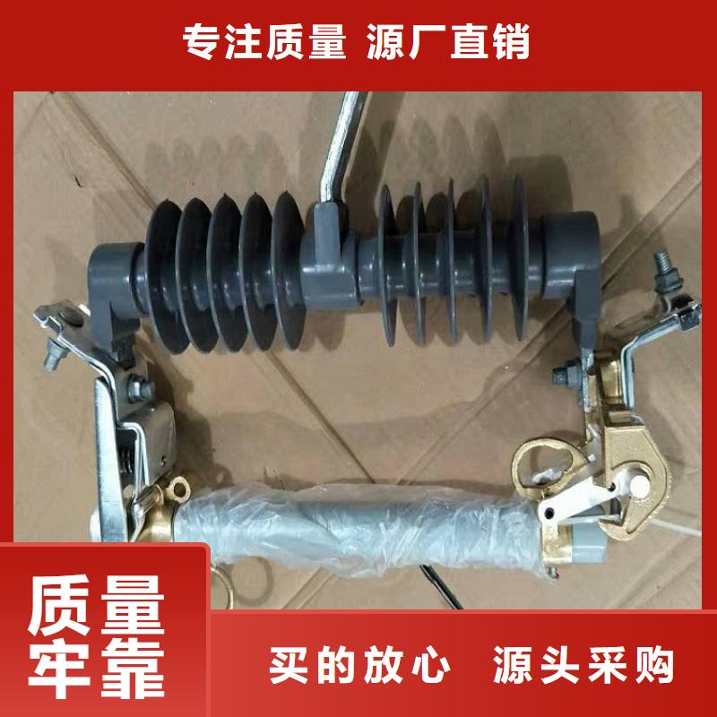 熔断器三相组合式避雷器您想要的我们都有