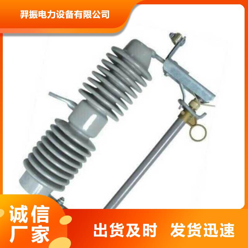 熔断器-金属氧化物避雷器专业的生产厂家