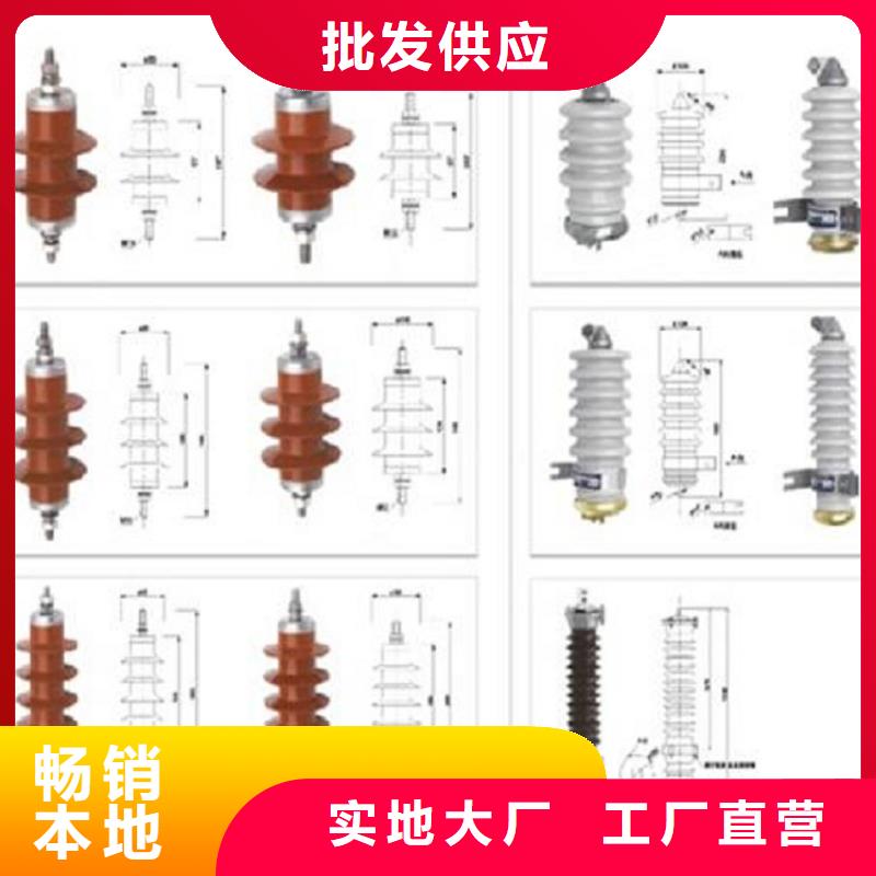 皋兰|七里河|武威|陇南|天水|平凉|金昌|临夏|定西避雷器高压负荷开关货真价实-羿振电力设备(兰州市分公司)
