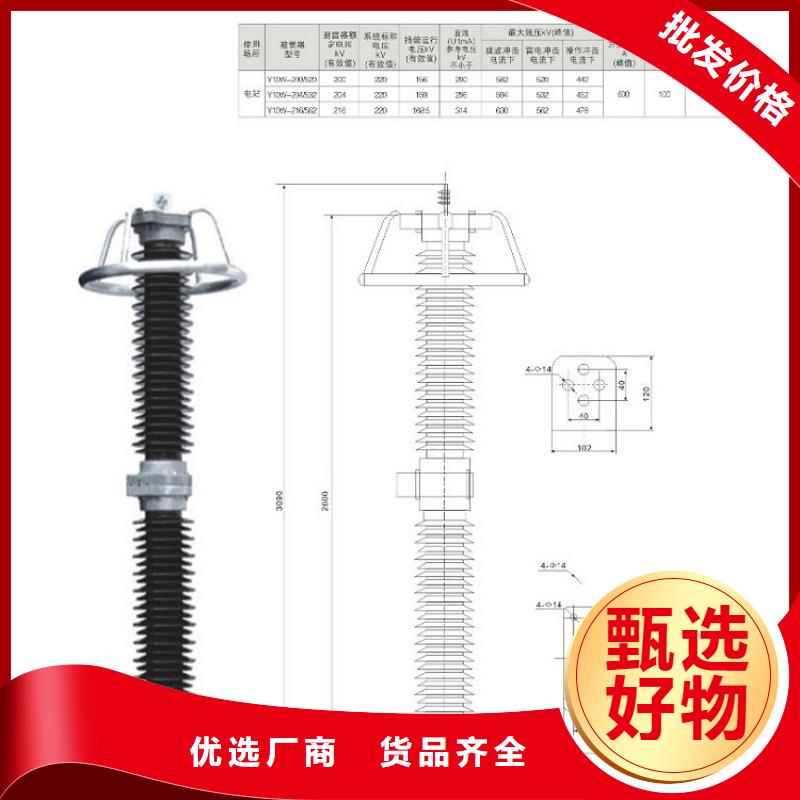 避雷器Y10W5-102/266W