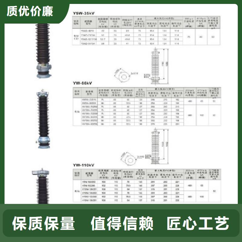 避雷器断路器厂家品质商家-羿振电力设备(上饶市分公司)