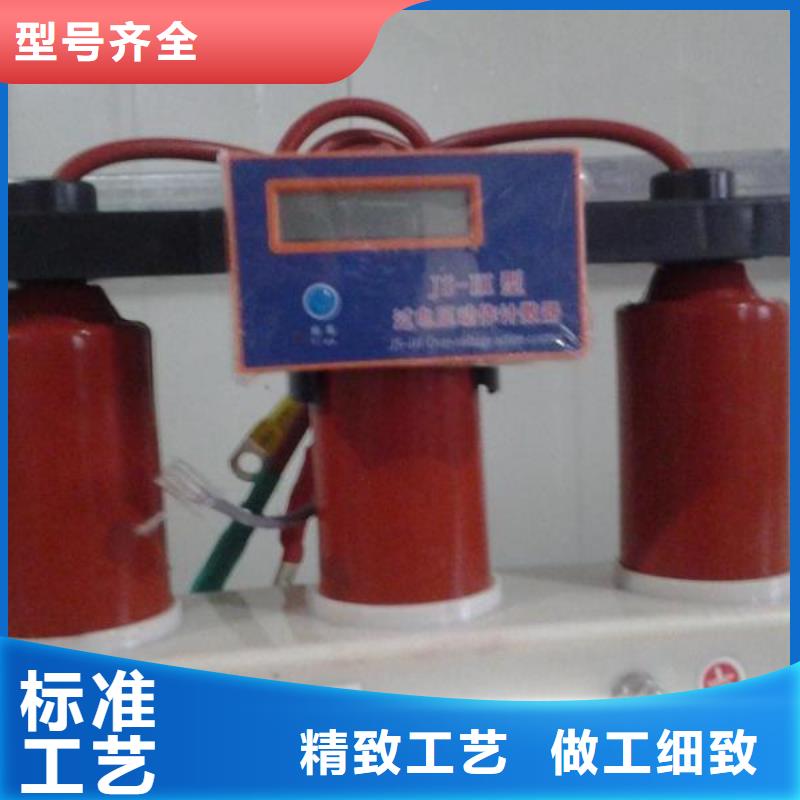 羿振过电压保护器隔离开关厂家有口皆碑-业务覆盖区域|商州|商南|安康|汉中|榆林|宝鸡|延安|西安|咸阳-二八商务
