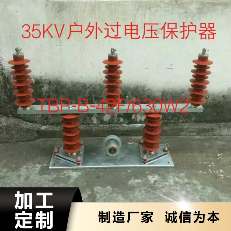 羿振过电压保护器隔离开关厂家有口皆碑-业务覆盖区域|商州|商南|安康|汉中|榆林|宝鸡|延安|西安|咸阳-二八商务