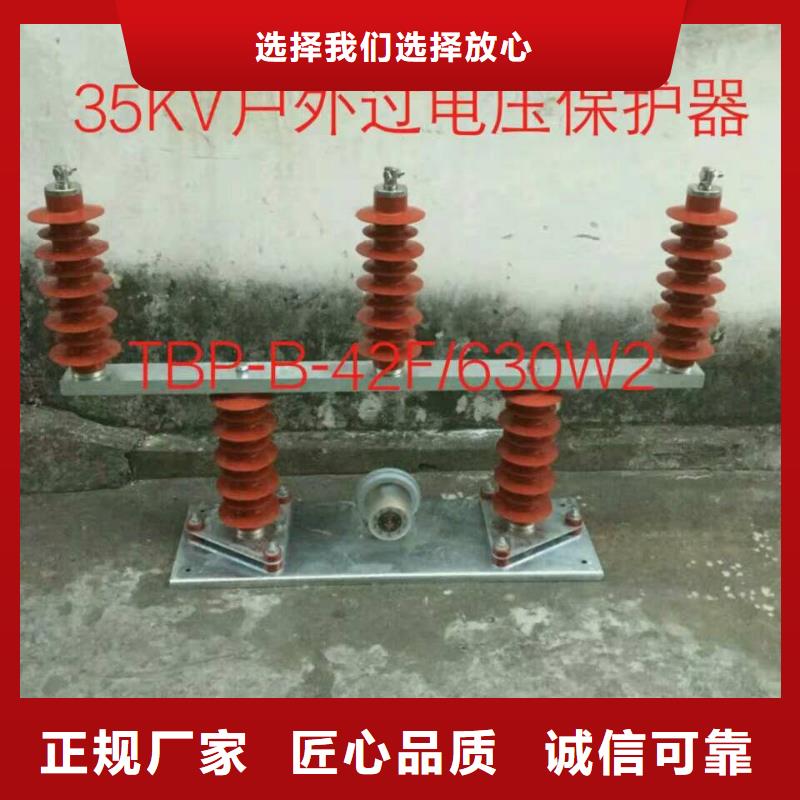 【过电压保护器-高压负荷开关实地大厂】 羿振电力设备(运城市分公司)