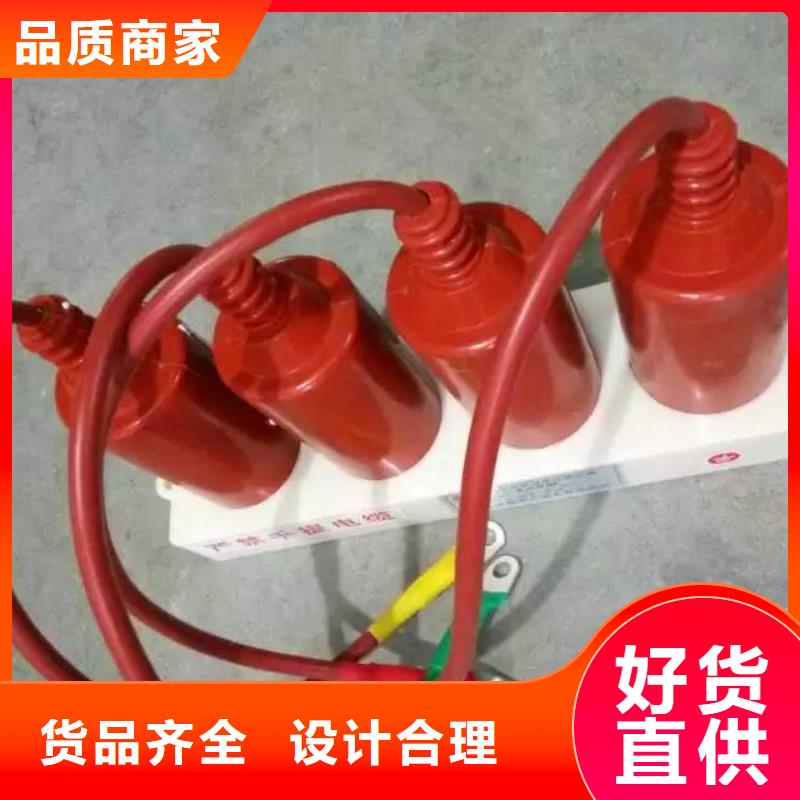 过电压保护器三相组合式避雷器用的放心质检合格出厂