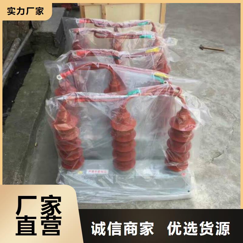 羿振过电压保护器隔离开关厂家有口皆碑-业务覆盖区域|商州|商南|安康|汉中|榆林|宝鸡|延安|西安|咸阳-二八商务