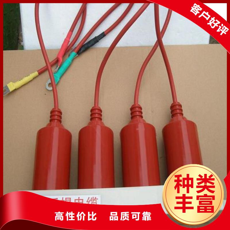 过电压保护器跌落式熔断器厂家保障产品质量