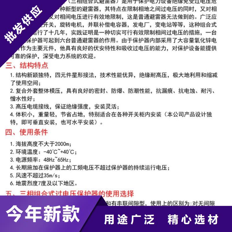 过电压保护器三相组合式避雷器用的放心质检合格出厂