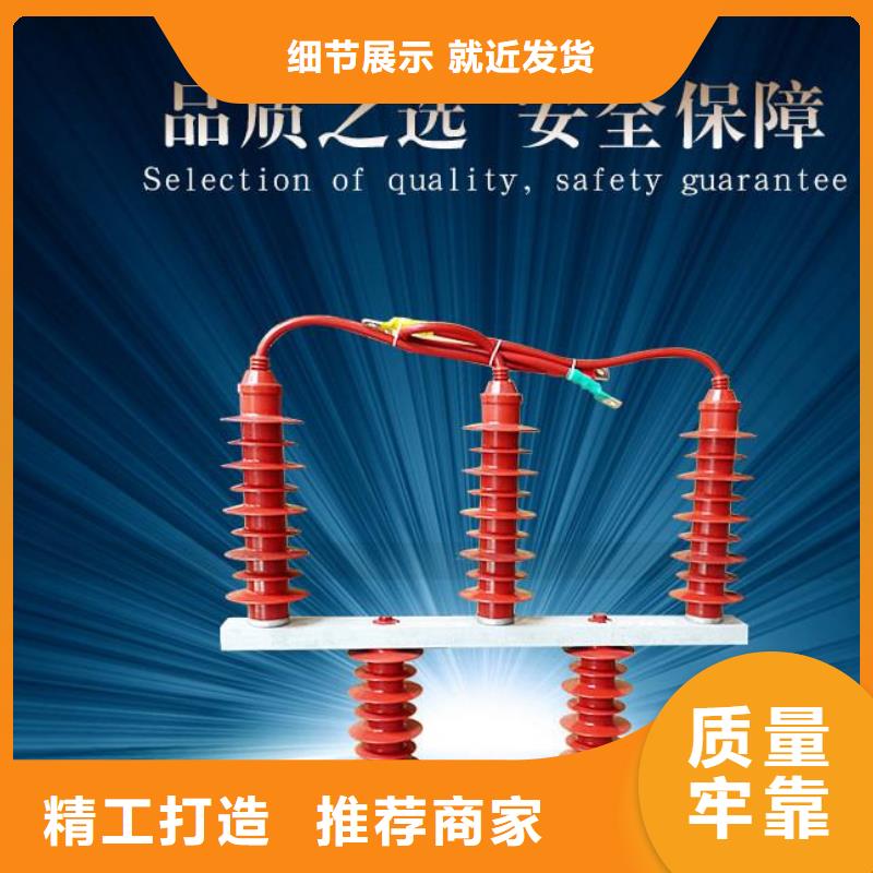羿振过电压保护器隔离开关厂家有口皆碑-业务覆盖区域|商州|商南|安康|汉中|榆林|宝鸡|延安|西安|咸阳-二八商务
