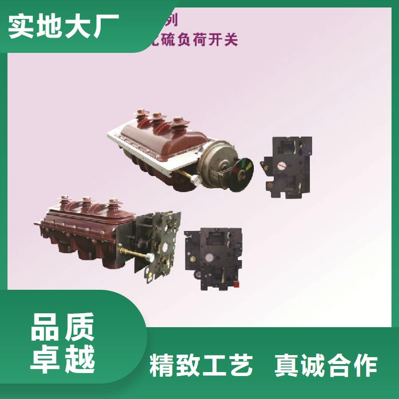 临朐|寒亭|德州|泰安|菏泽|东营|滨州负荷开关金属氧化物避雷器来图来样定制-羿振
