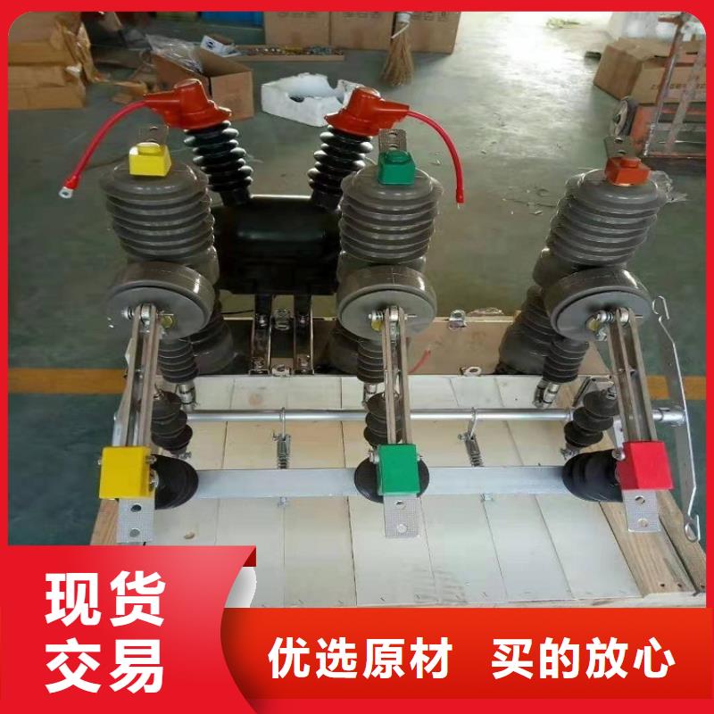 羿振【真空断路器】ZW32真空断路器绝缘子诚信经营现货现发
