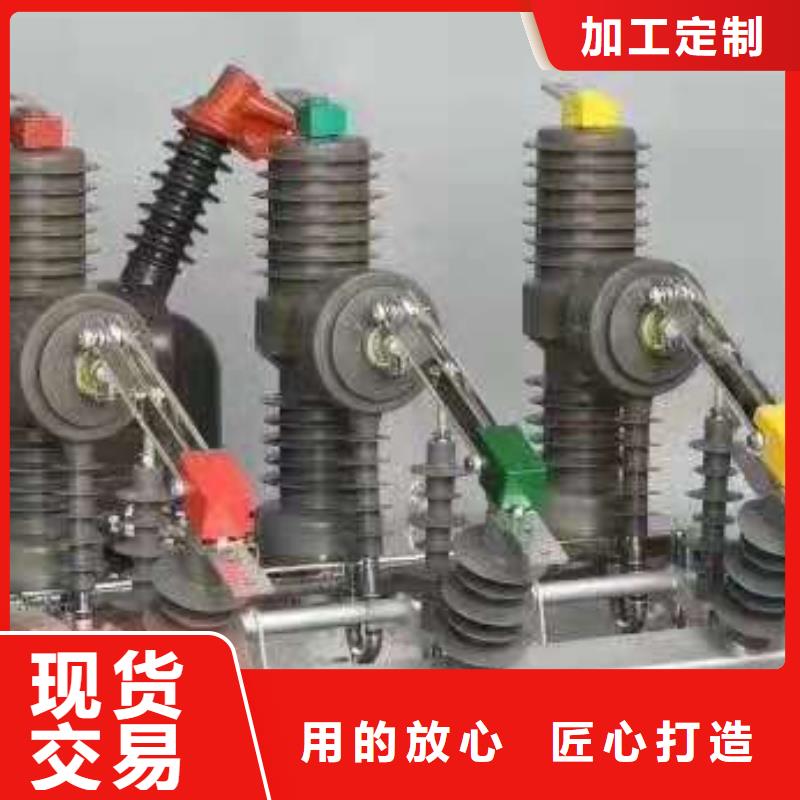 羿振【真空断路器】ZW32真空断路器绝缘子诚信经营现货现发