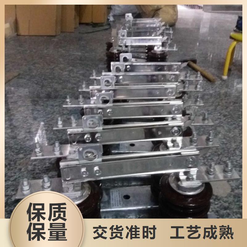 【单极隔离开关】FGW9-10/400