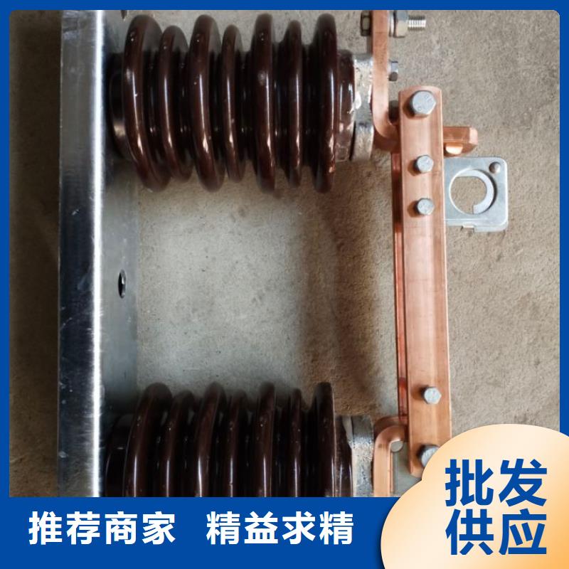【羿振电气】隔离开关HGW9-12W/630