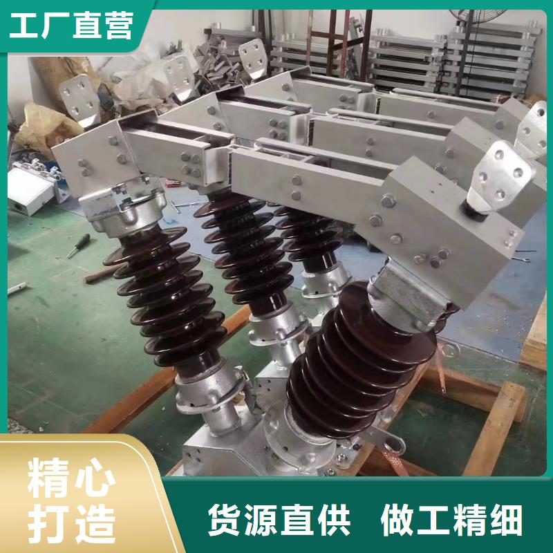 羿振【真空断路器】【 GW4 GW5 跌落式熔断器精心选材】28354.com