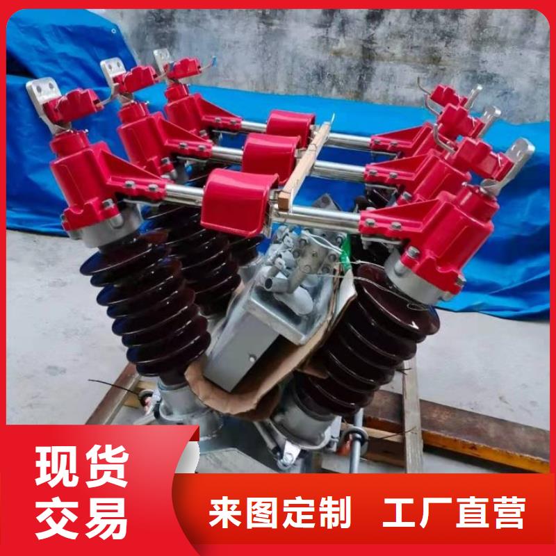 隔离刀闸GW4A-110IIDW/400A.