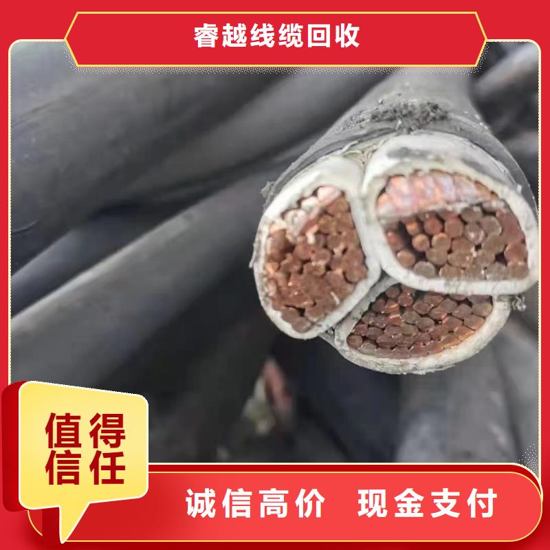 专业回收【电缆回收】- 防火喷塑电缆桥架免费上门服务-同城品牌