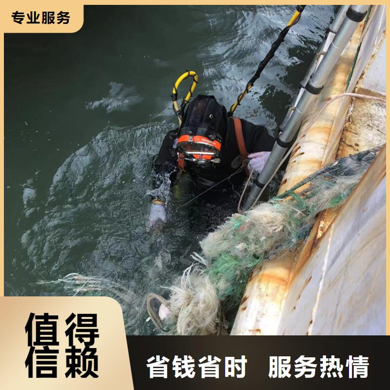 水下潜水录像拍照团队