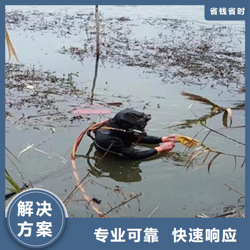 水下潜水录像拍照案例丰富