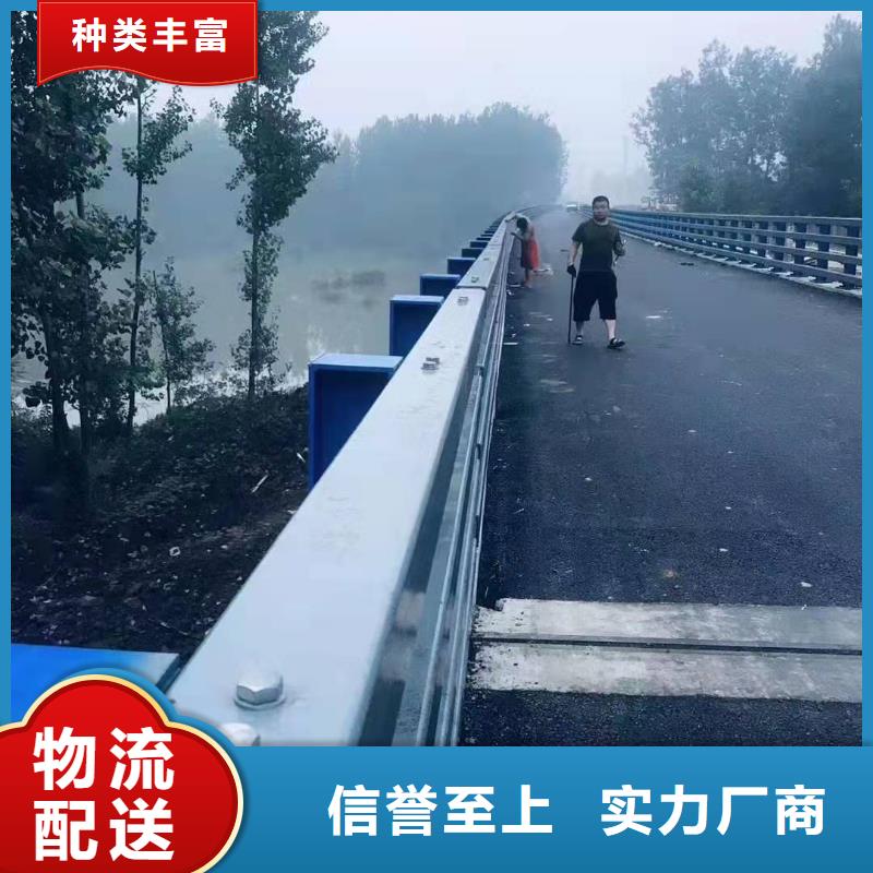 常年供应钢护栏-现货供应