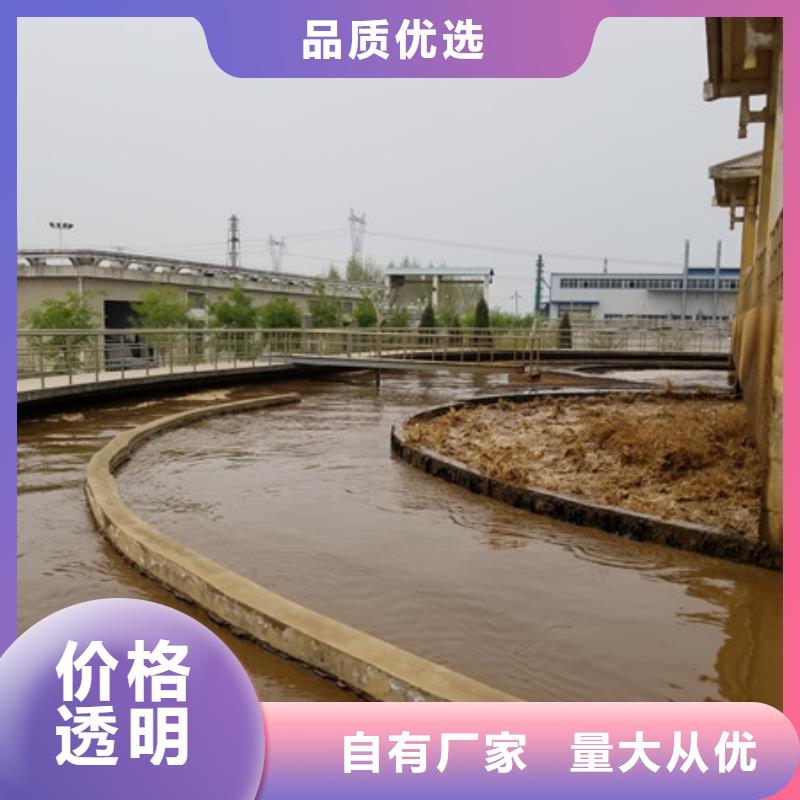 活性炭火山石填料敢与同行比服务