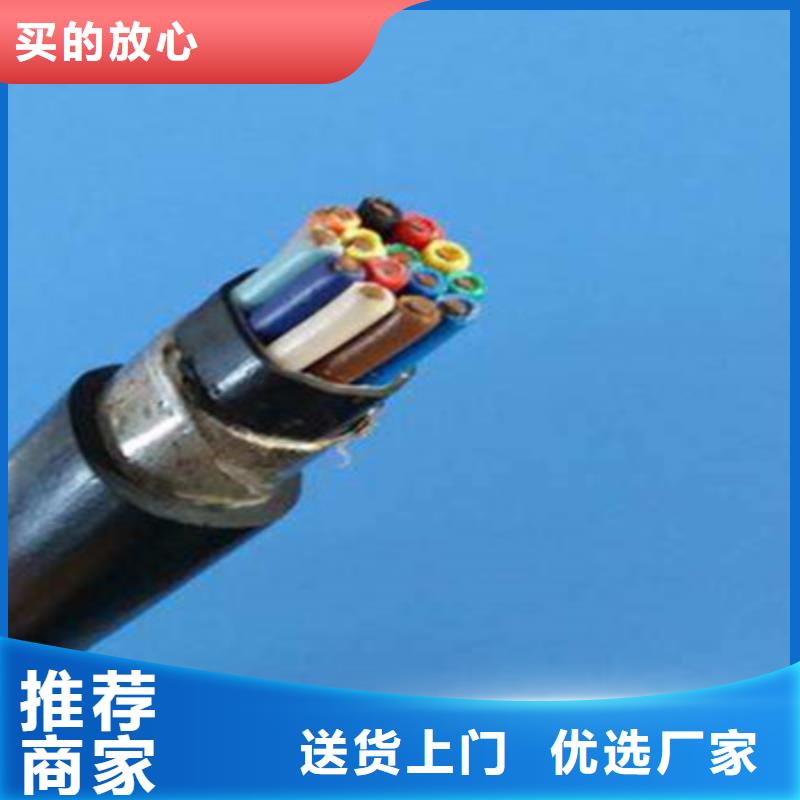 厂家直销RVVZ1X25平方蓝色电线优质品牌