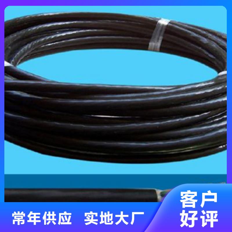 电缆屏蔽电缆【 特种电缆-屏蔽电缆丰富的行业经验】