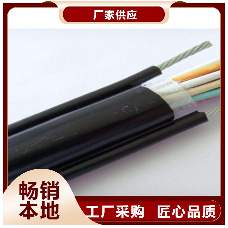 厂家直销RVVZ1X25平方蓝色电线优质品牌