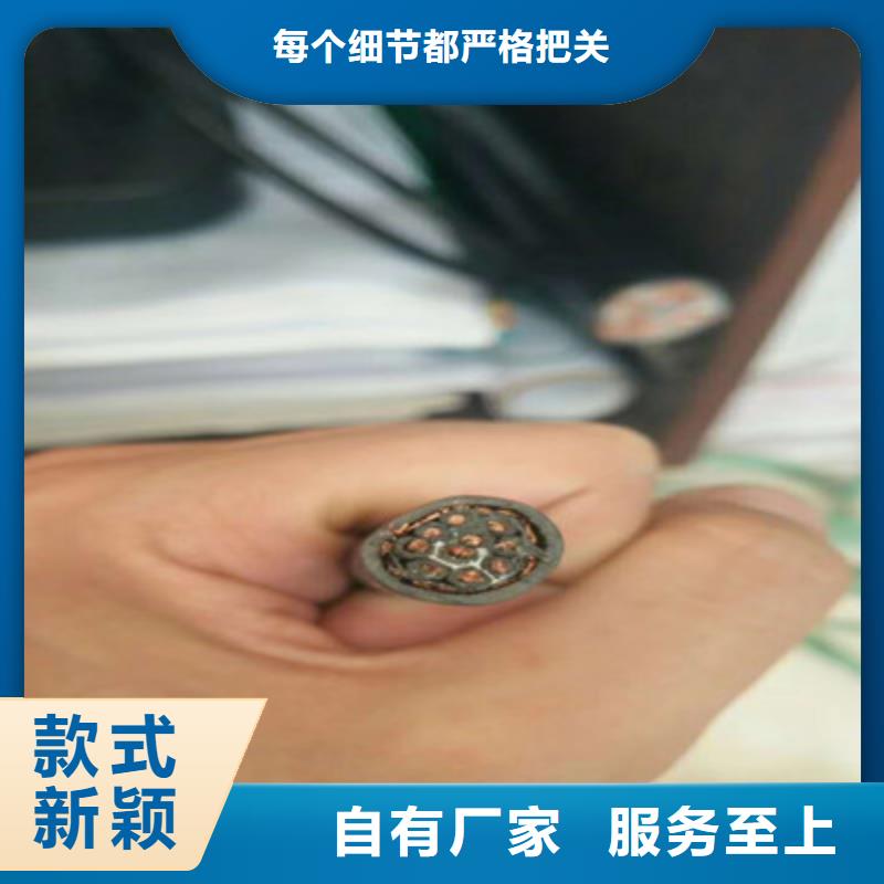 屏蔽通讯电缆JYP1V源头好货