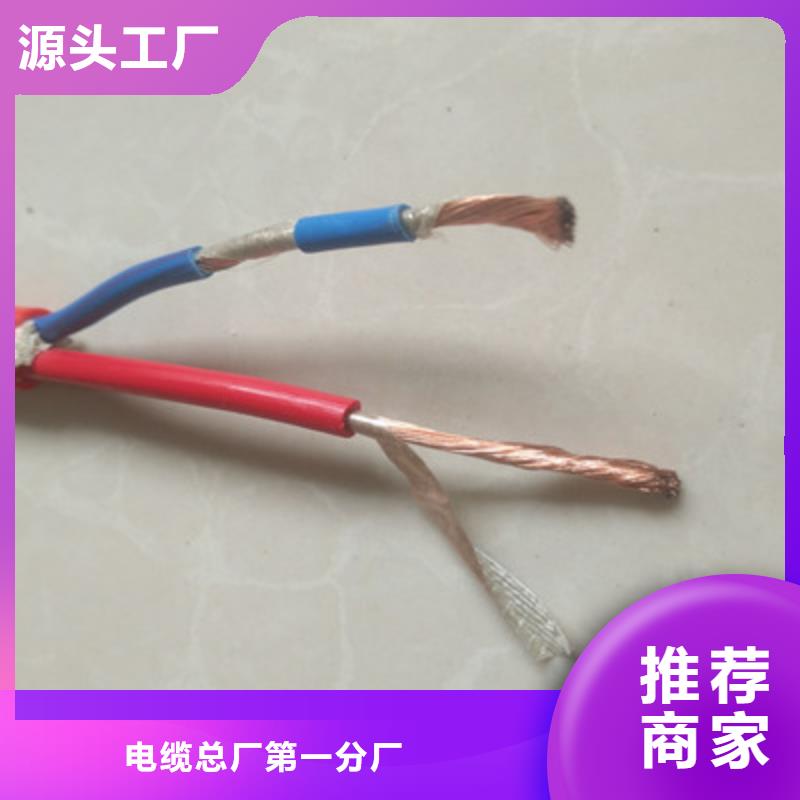 电缆屏蔽电缆【 特种电缆-屏蔽电缆丰富的行业经验】