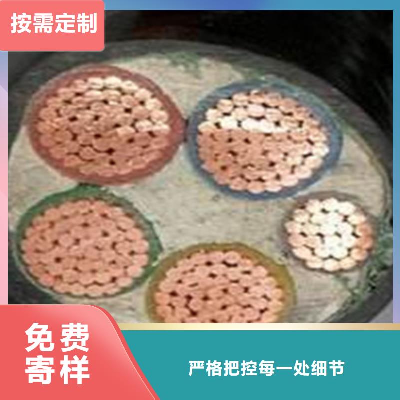 【特种电缆】信号电缆您身边的厂家