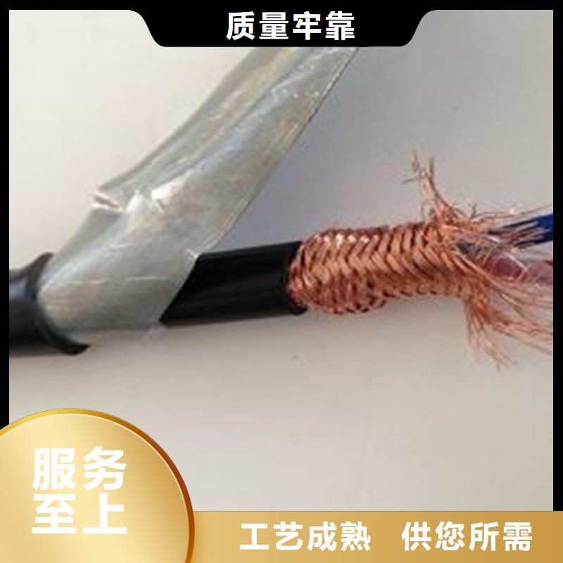 计算机电缆_屏蔽电缆价格地道