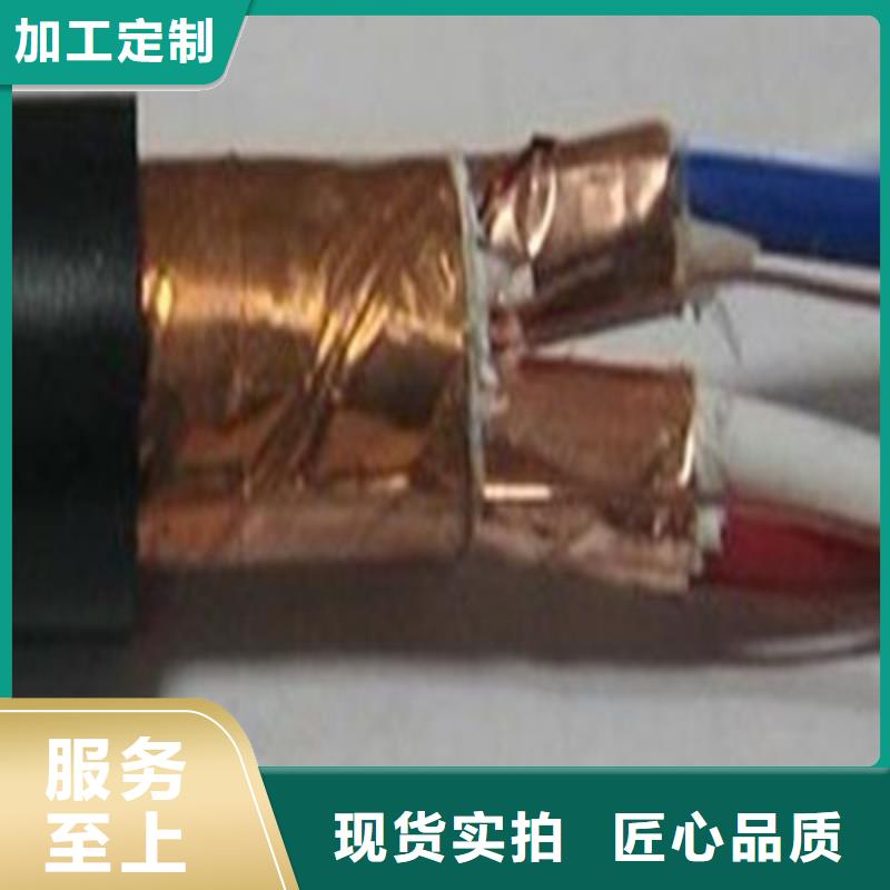 计算机屏蔽电缆DJYJVP3-225X2X2.5