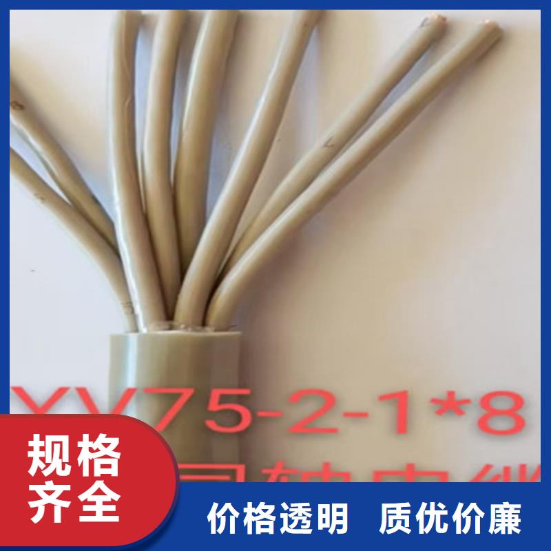 【射频同轴电缆】 本安防爆电缆按需定制真材实料-可发货到安县|平武|德阳|自贡|攀枝花|阿坝|甘孜|泸州