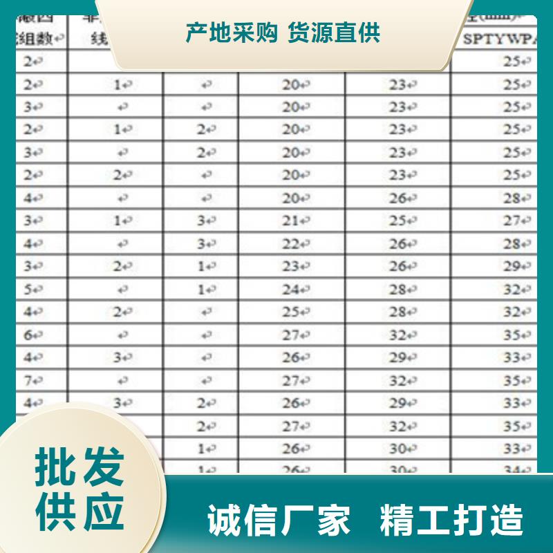 铁路信号电缆屏蔽电缆订制批发