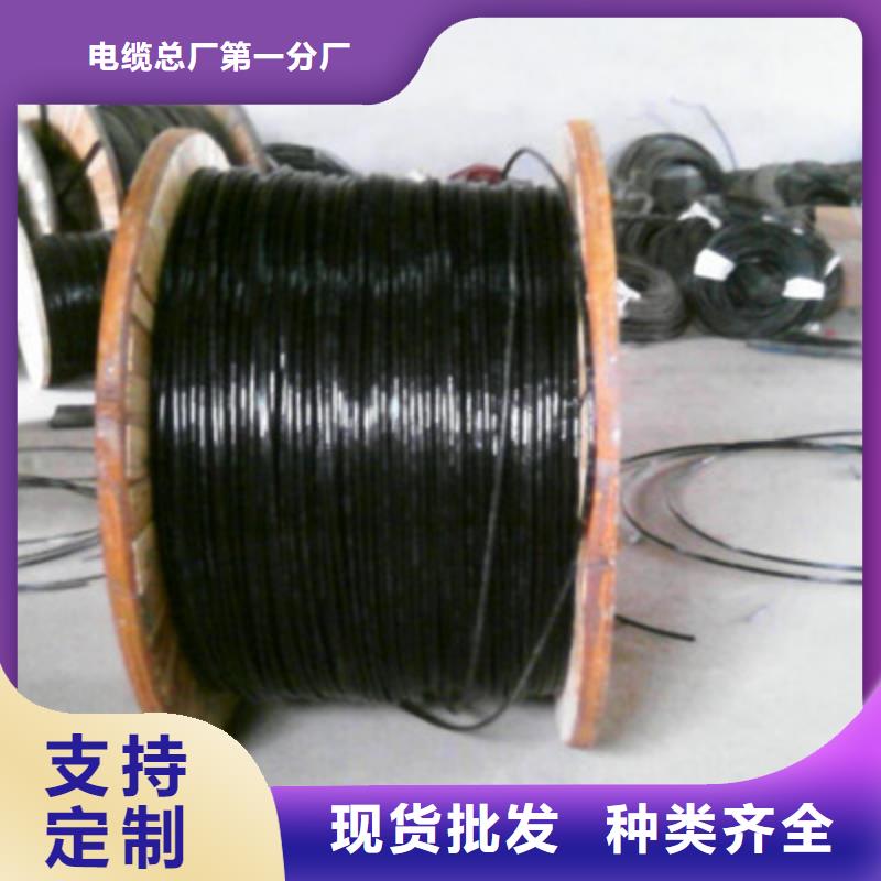 【铁路信号电缆】 计算机电缆多种规格可选-电缆总厂分厂(吕梁市分公司)