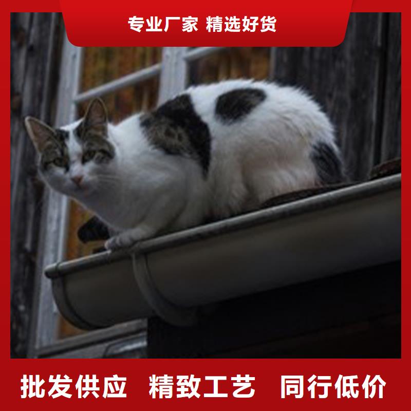 澄迈县白色雨水槽