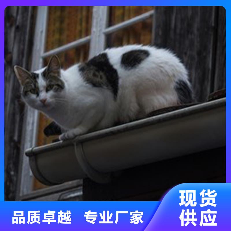 成品檐沟腾诚落水系统