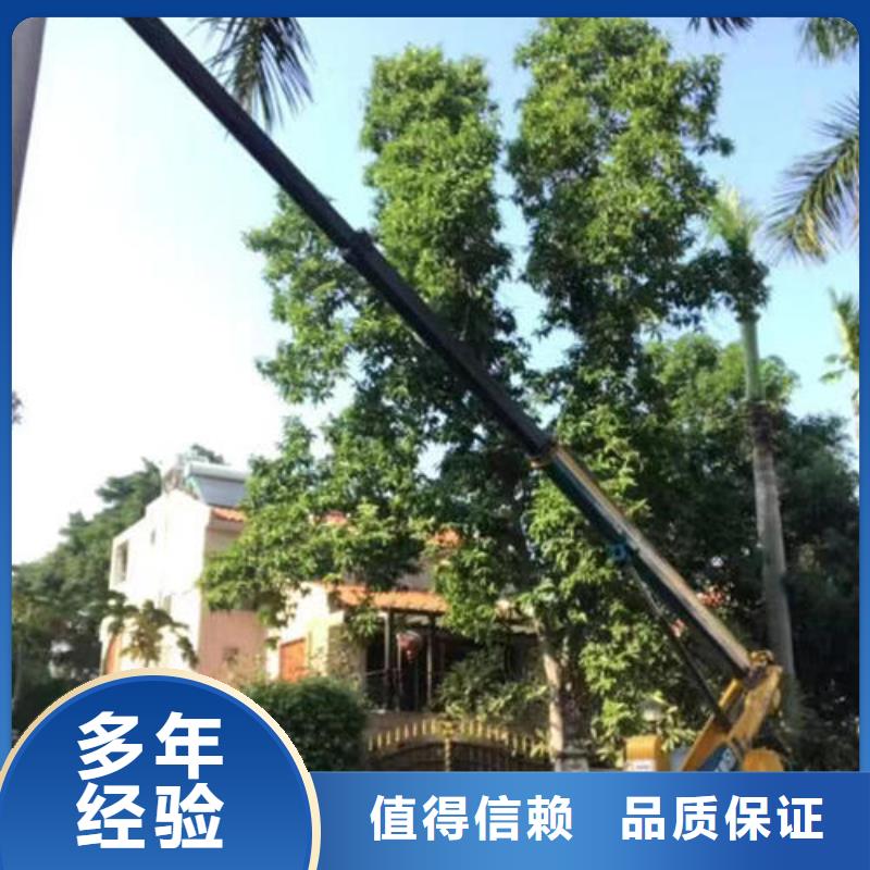 中山市三角镇登高车出租怎么选