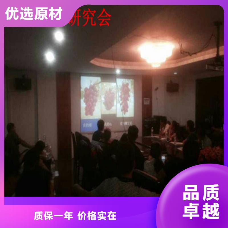 葡萄苗-【蓝宝石葡萄苗】现货充裕|陇川|瑞丽|曲靖|玉溪|丽江|怒江28354.com